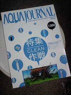 世界水草レイアウトコンテスト2012 ベスト200作品_b0141806_2385956.jpg