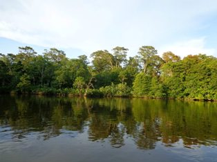 c0247308_16101544.jpg