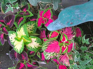 c0248013_17162076.jpg