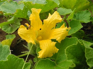 c0248013_17583323.jpg