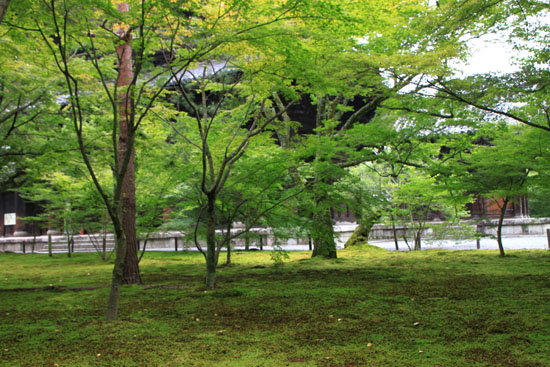 深緑の南禅寺2_e0048413_2124940.jpg