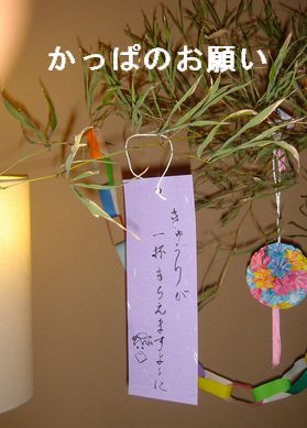 なんちゃって女将の七夕飾り_e0234016_19545457.jpg