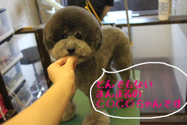 おはよぉ～ございまぁ～！！_b0130018_75007.jpg