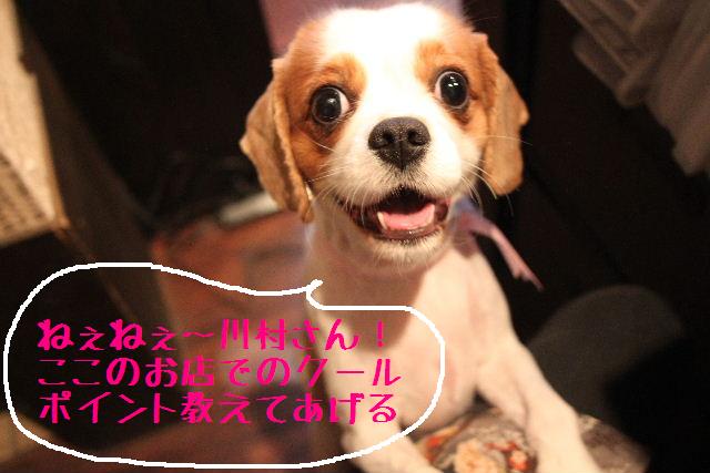 おはよぉ～ございまぁ～！！_b0130018_81341.jpg