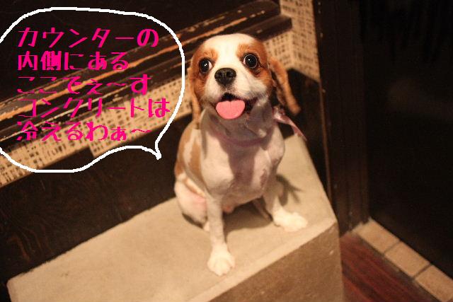 おはよぉ～ございまぁ～！！_b0130018_81853.jpg