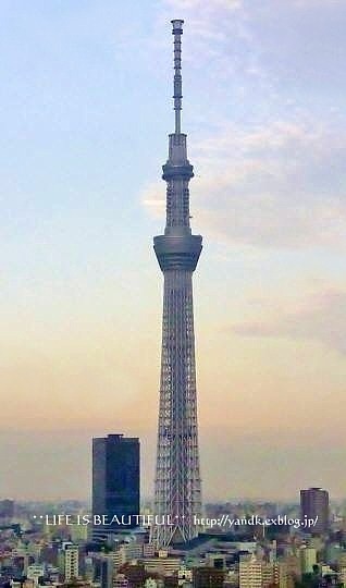 粋な夜景_d0083623_0281814.jpg