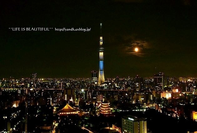 粋な夜景_d0083623_036445.jpg