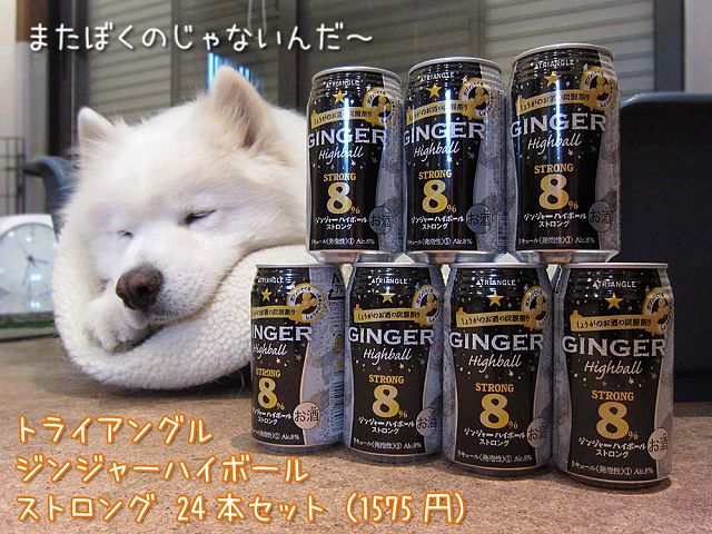 タメしたりいぢけたり_c0062832_6365569.jpg