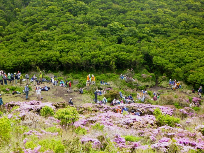 平治岳2012のミヤマキリシマを見に行く Ⅲ_d0079432_0222132.jpg