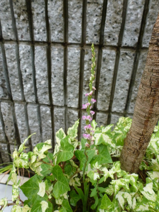 a0228333_224527.jpg