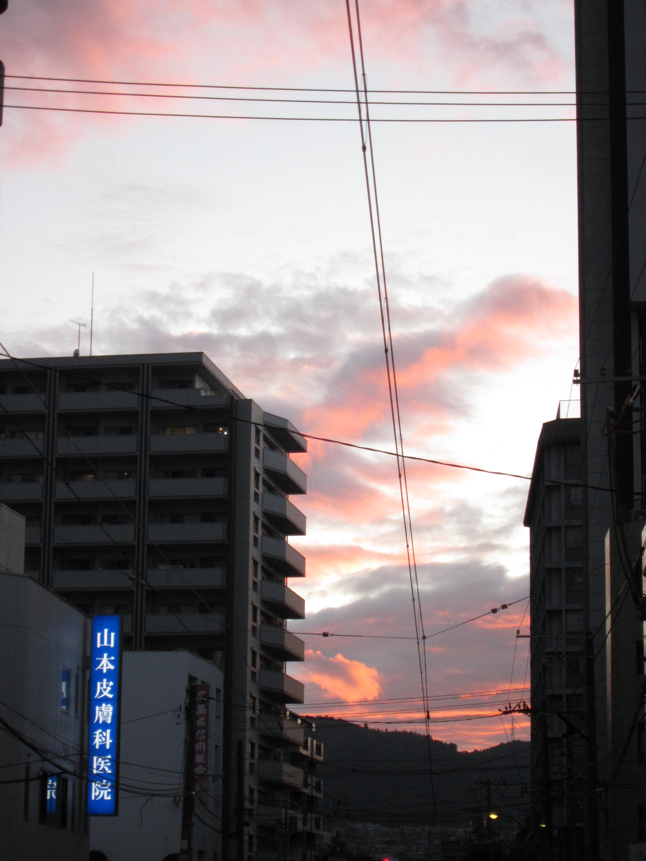 ワリゴちゃんの七夕な日_b0197533_2342781.jpg