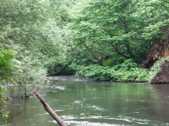 e0262235_20454375.jpg