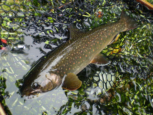 e0262235_2054379.jpg