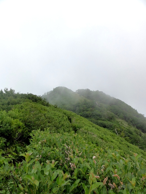 d0235336_01114.jpg