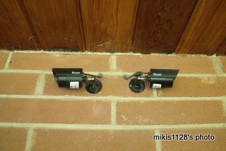 f0045736_62150.jpg