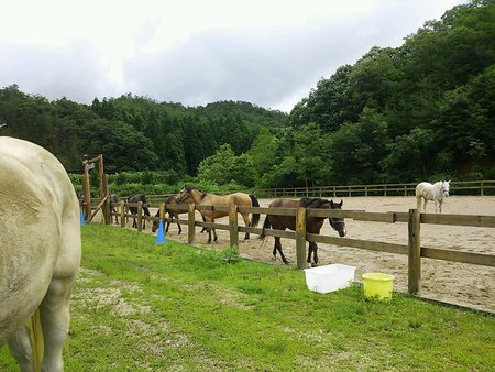 不健康な家族です_e0145441_1143625.jpg