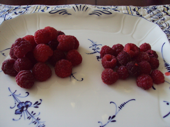 a0204348_324039.jpg