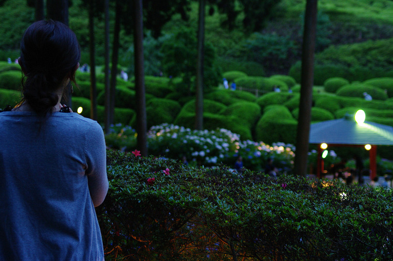 三室戸寺　紫陽花ライトアップ．．．_f0152550_19101267.jpg