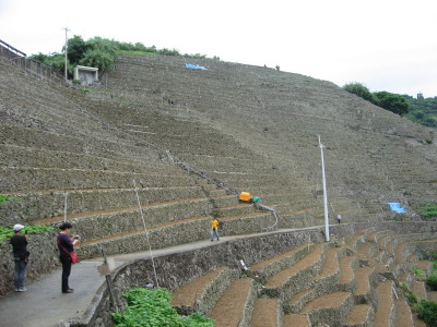 f0006356_10314380.jpg