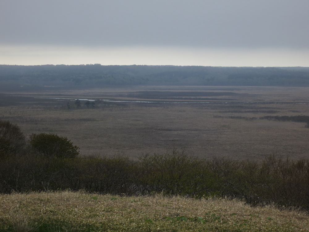 a0098864_2254565.jpg