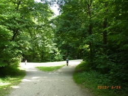 e0195766_651919.jpg