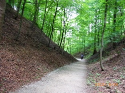 e0195766_653688.jpg
