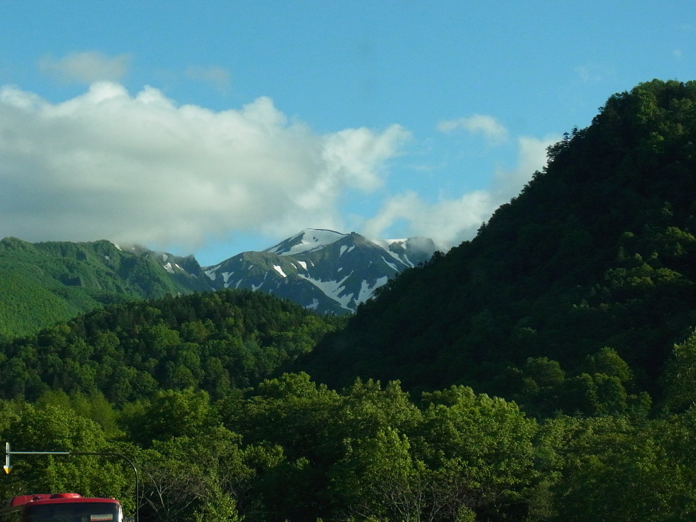 a0146869_80139.jpg