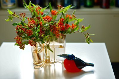 Alvar Aalto Collection -Vase 120mm Rio brown : buckの気まま