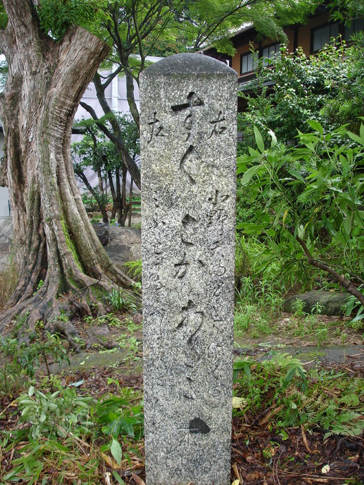 f0142070_9542516.jpg