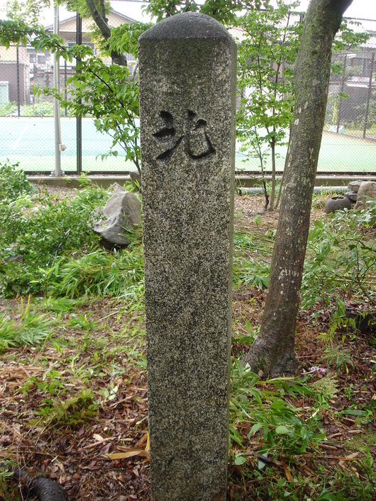 f0142070_9562474.jpg