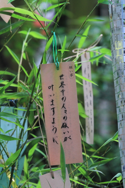 貴船神社_e0051888_21183574.jpg