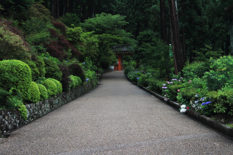 三室戸寺_e0051888_2131528.jpg