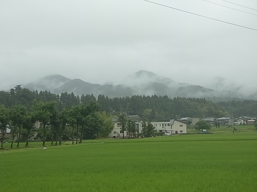 f0164499_2256880.jpg