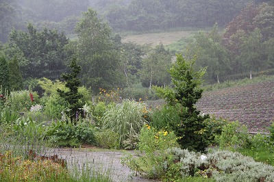 a0123003_2324819.jpg