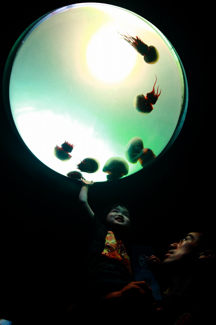 e0262305_7393958.jpg