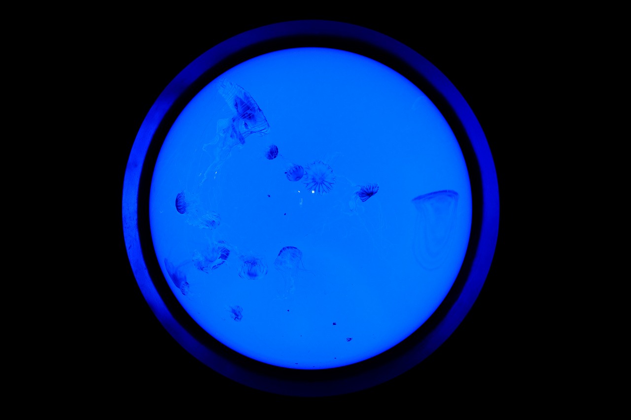 e0262305_741398.jpg