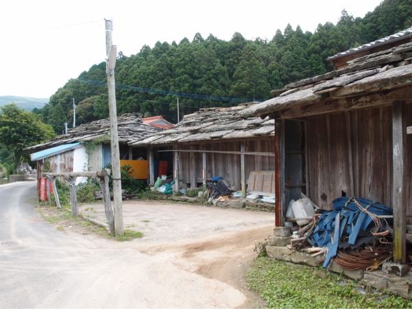 対馬食べ残し紀行_d0147406_1636261.jpg