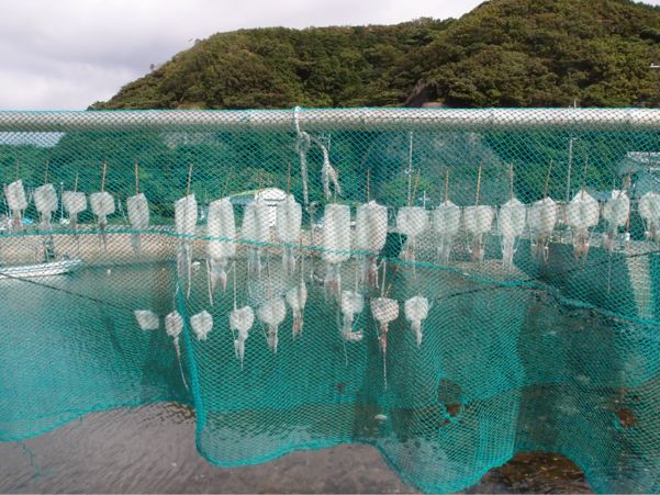 対馬食べ残し紀行_d0147406_1863395.jpg