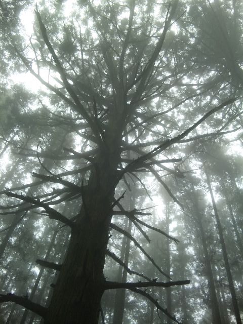 b0112509_2051350.jpg
