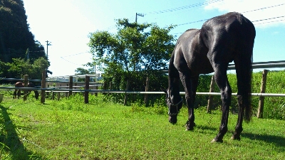 b0187620_202368.jpg