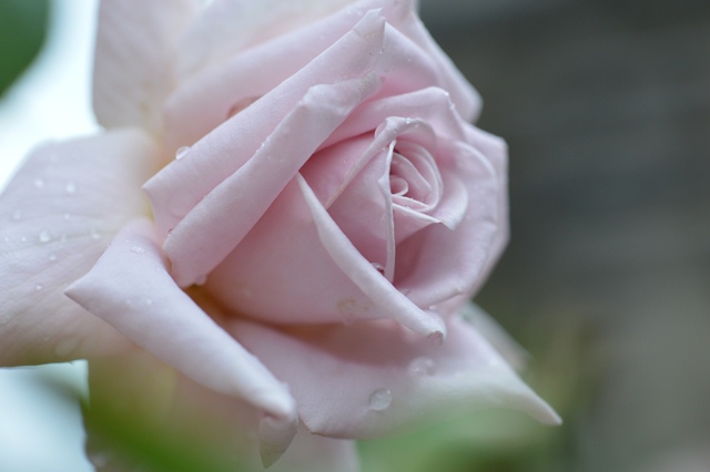 d0096422_9154210.jpg