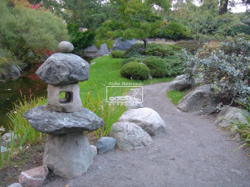 b0160123_17444824.gif