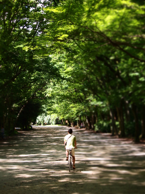 遠い夏の日   木漏れ日の中・・・・・♥_d0266327_16585574.jpg