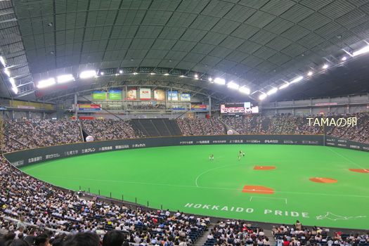 c0024729_13281594.jpg