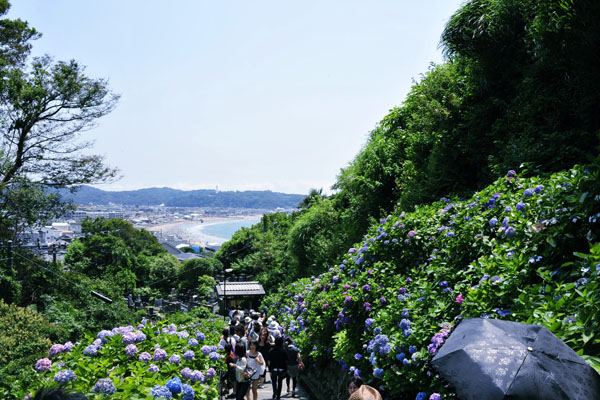 c0182231_2185397.jpg