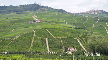 c0077533_0131523.jpg