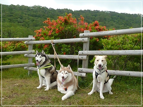 赤城“見晴山・地蔵岳”ハイキング　－後編－_d0140133_5344241.jpg