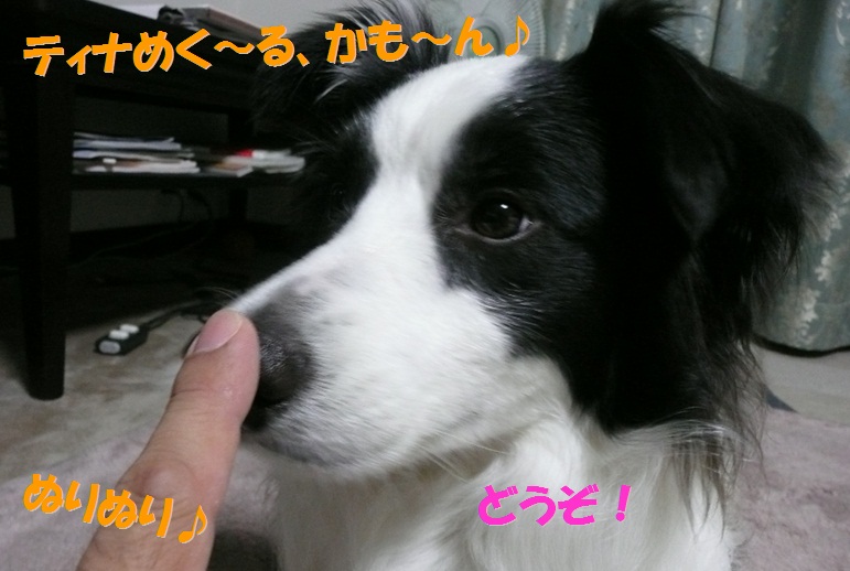 c0147241_2039342.jpg