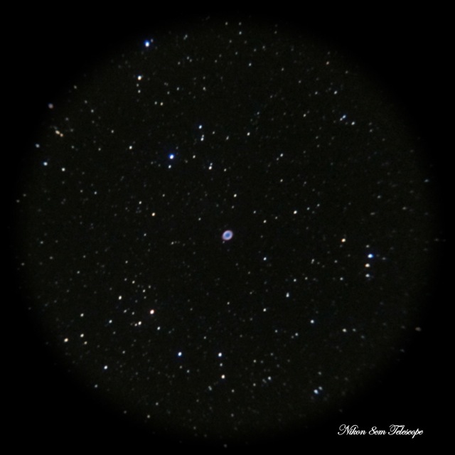 b0167343_03542.jpg