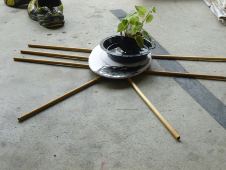 植物とお話_c0217044_1757483.jpg